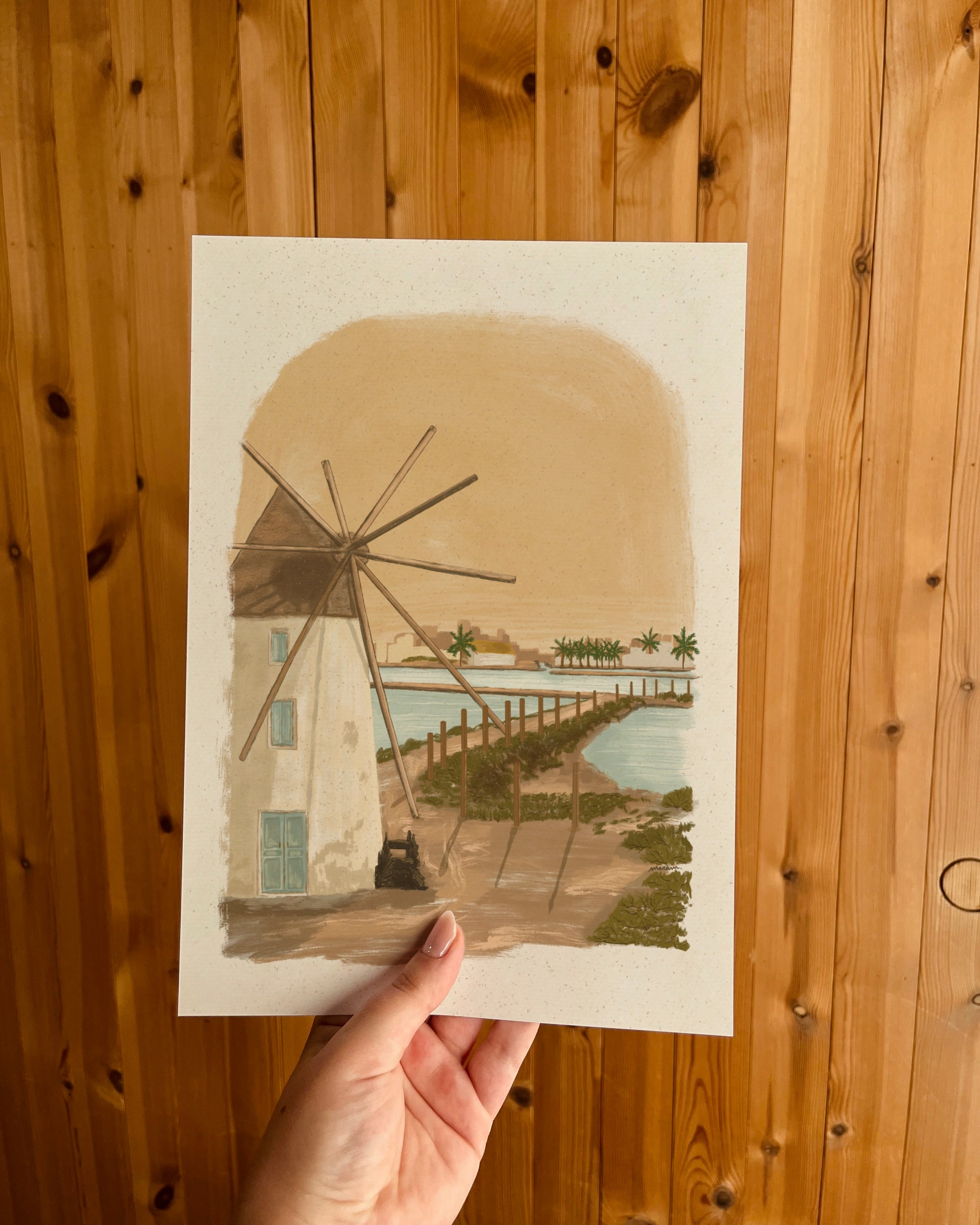Pack 3 Postales